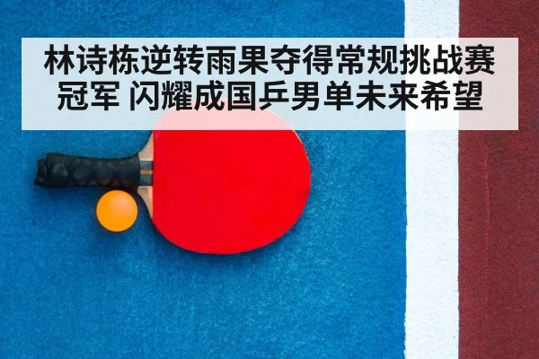 ping pong racket
